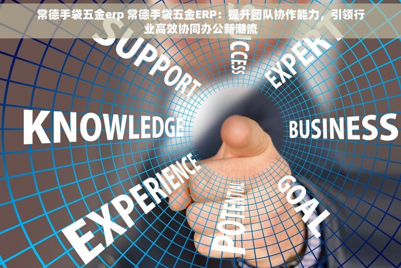 常德手袋五金erp 常德手袋五金ERP：提升团队协作能力，引领行业高效协同办公新潮流