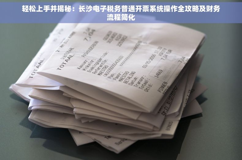 轻松上手并揭秘：长沙电子税务普通开票系统操作全攻略及财务流程简化