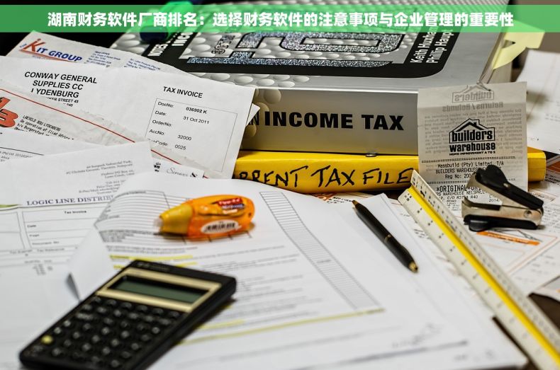 湖南财务软件厂商排名：选择财务软件的注意事项与企业管理的重要性