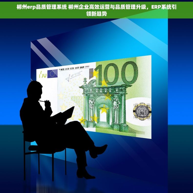 郴州erp品质管理系统 郴州企业高效运营与品质管理升级，ERP系统引领新趋势