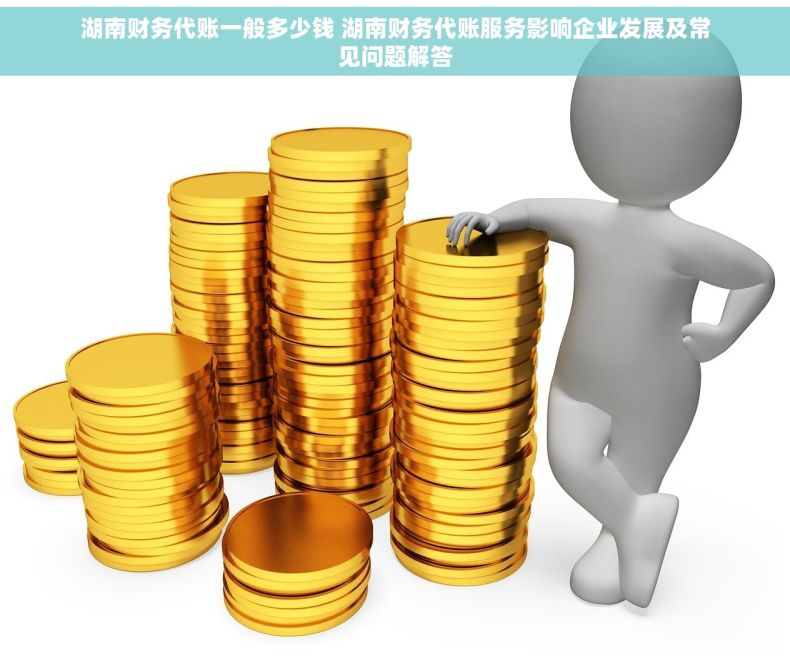 湖南财务代账一般多少钱 湖南财务代账服务影响企业发展及常见问题解答