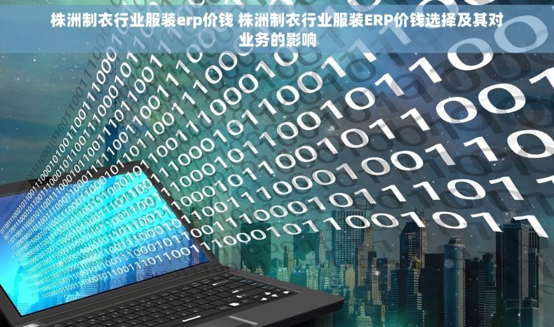 株洲制衣行业服装erp价钱 株洲制衣行业服装ERP价钱选择及其对业务的影响