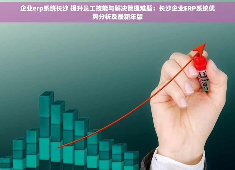 企业erp系统长沙 提升员工技能与解决管理难题：长沙企业ERP系统优势分析及最新年版