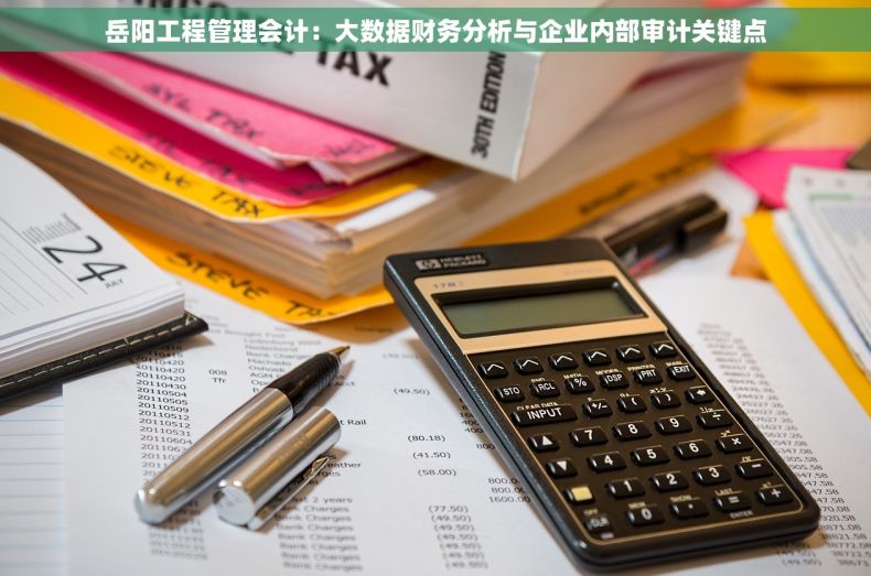 岳阳工程管理会计：大数据财务分析与企业内部审计关键点