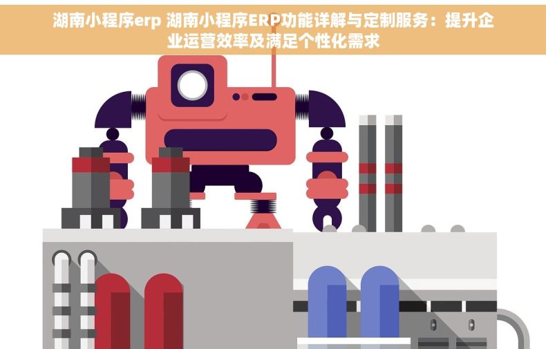 湖南小程序erp 湖南小程序ERP功能详解与定制服务：提升企业运营效率及满足个性化需求