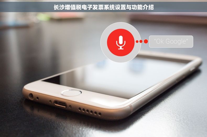 长沙增值税电子发票系统设置与功能介绍