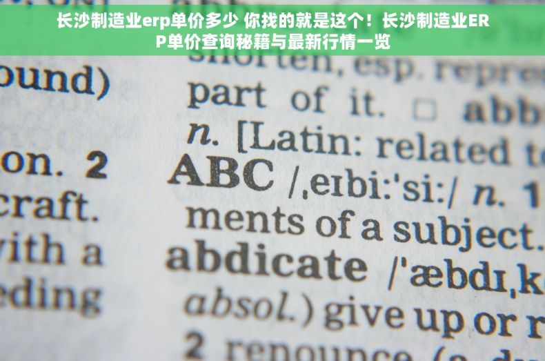 长沙制造业erp单价多少 你找的就是这个！长沙制造业ERP单价查询秘籍与最新行情一览
