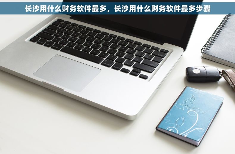 长沙用什么财务软件最多，长沙用什么财务软件最多步骤