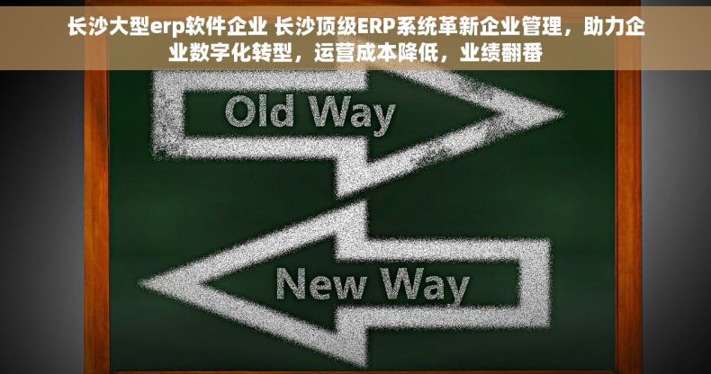 长沙大型erp软件企业 长沙顶级ERP系统革新企业管理，助力企业数字化转型，运营成本降低，业绩翻番