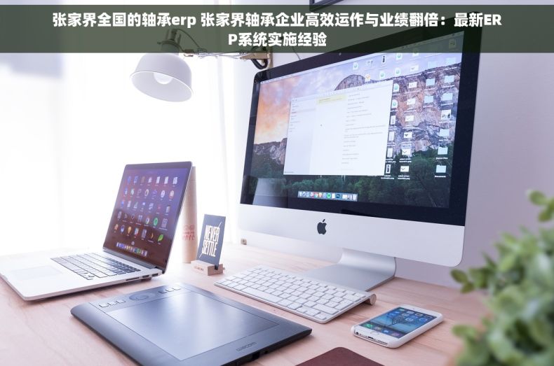 张家界全国的轴承erp 张家界轴承企业高效运作与业绩翻倍：最新ERP系统实施经验