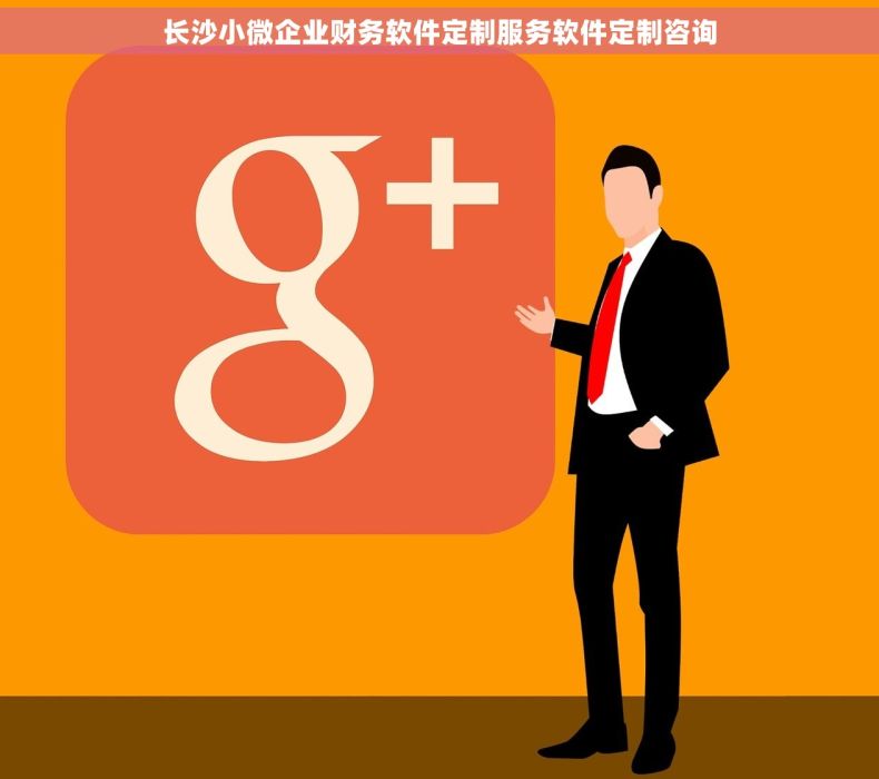 长沙小微企业财务软件定制服务软件定制咨询