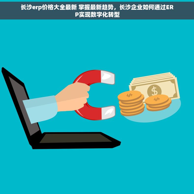 长沙erp价格大全最新 掌握最新趋势，长沙企业如何通过ERP实现数字化转型