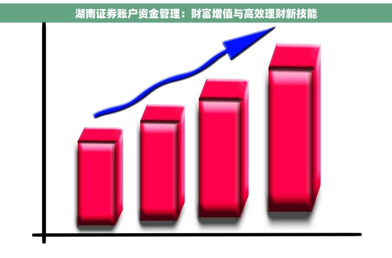 湖南证券账户资金管理：财富增值与高效理财新技能