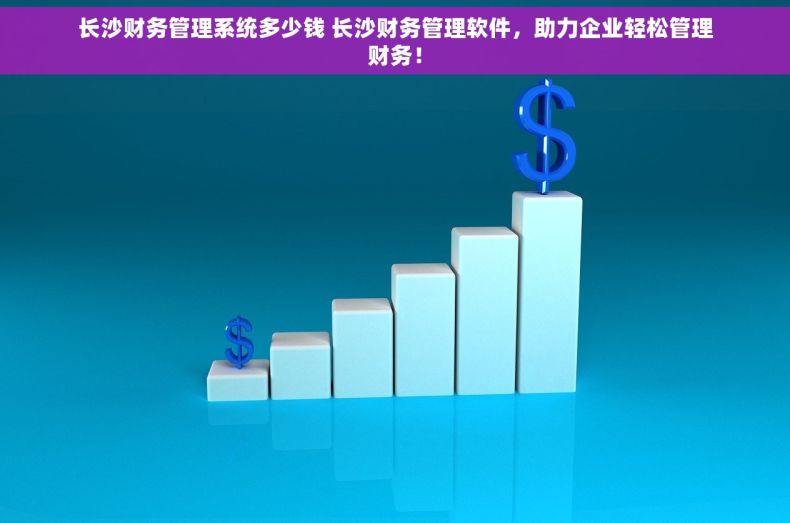 长沙财务管理系统多少钱 长沙财务管理软件，助力企业轻松管理财务！