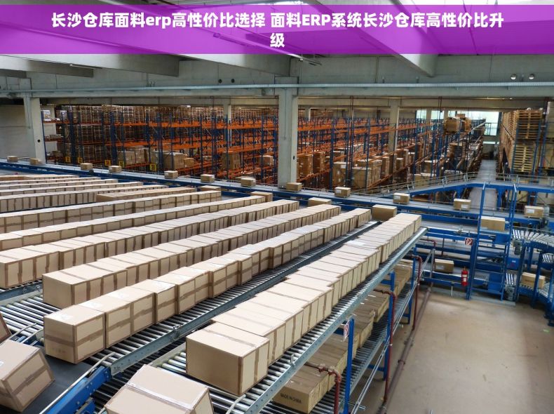 长沙仓库面料erp高性价比选择 面料ERP系统长沙仓库高性价比升级
