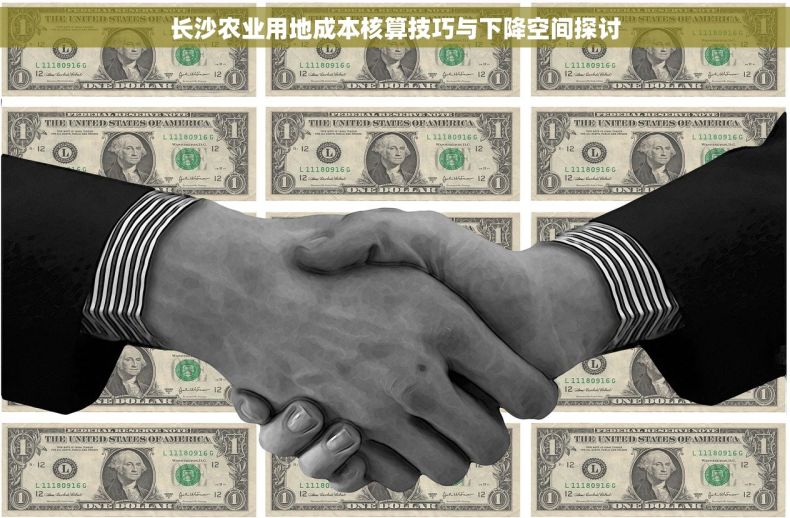 长沙农业用地成本核算技巧与下降空间探讨