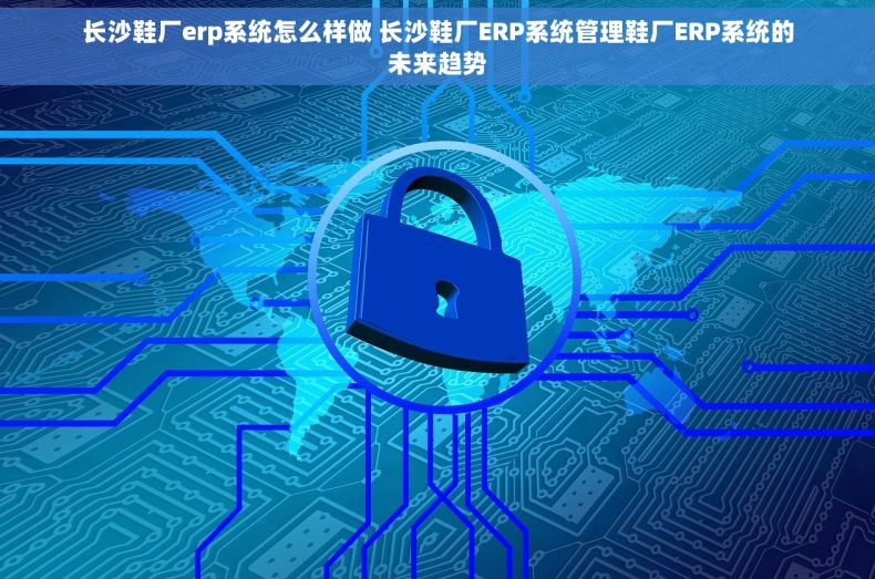 长沙鞋厂erp系统怎么样做 长沙鞋厂ERP系统管理鞋厂ERP系统的未来趋势