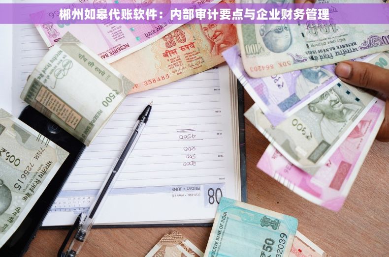 郴州如皋代账软件：内部审计要点与企业财务管理