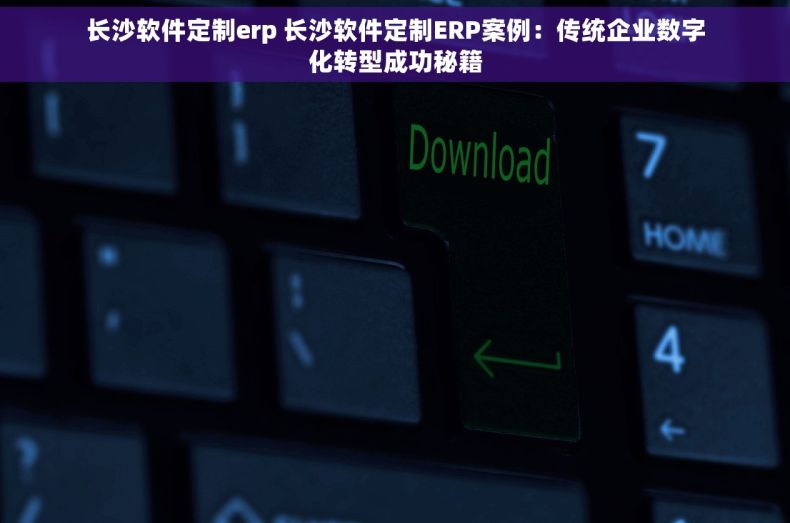 长沙软件定制erp 长沙软件定制ERP案例：传统企业数字化转型成功秘籍