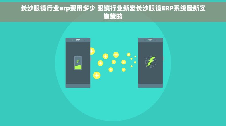长沙眼镜行业erp费用多少 眼镜行业新宠长沙眼镜ERP系统最新实施策略