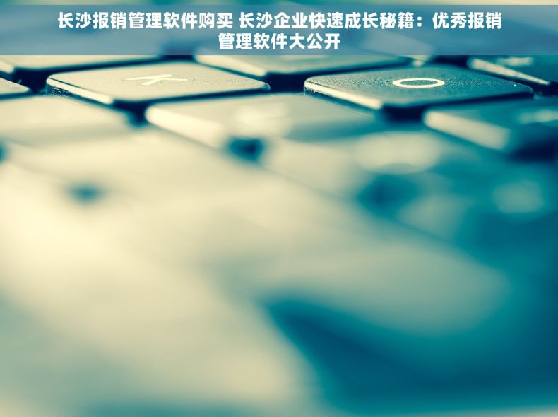 长沙报销管理软件购买 长沙企业快速成长秘籍：优秀报销管理软件大公开