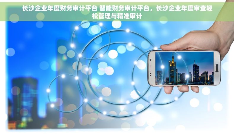 长沙企业年度财务审计平台 智能财务审计平台，长沙企业年度审查轻松管理与精准审计