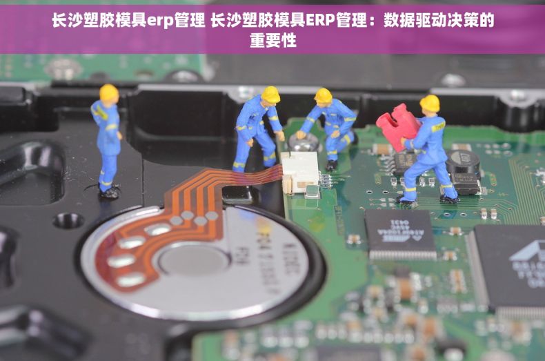 长沙塑胶模具erp管理 长沙塑胶模具ERP管理：数据驱动决策的重要性