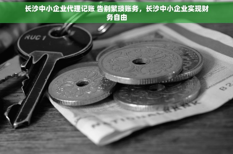 长沙中小企业代理记账 告别繁琐账务，长沙中小企业实现财务自由