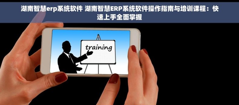 湖南智慧erp系统软件 湖南智慧ERP系统软件操作指南与培训课程：快速上手全面掌握