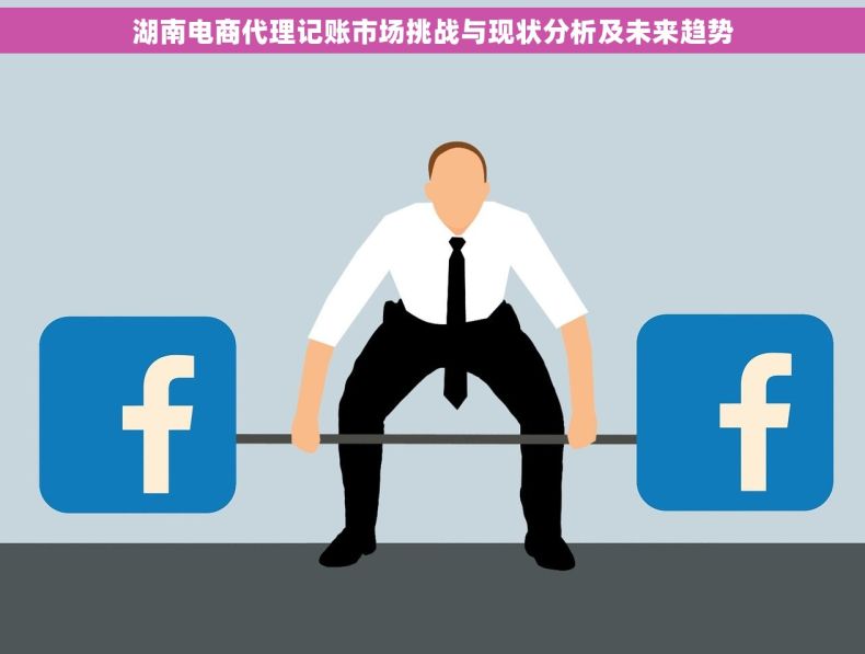 湖南电商代理记账市场挑战与现状分析及未来趋势
