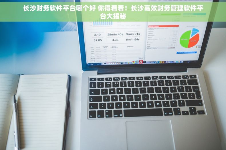 长沙财务软件平台哪个好 你得看看！长沙高效财务管理软件平台大揭秘