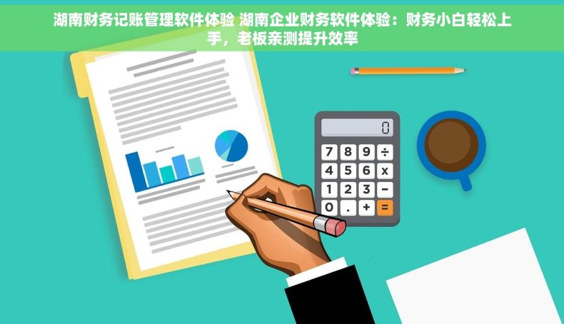 湖南财务记账管理软件体验 湖南企业财务软件体验：财务小白轻松上手，老板亲测提升效率