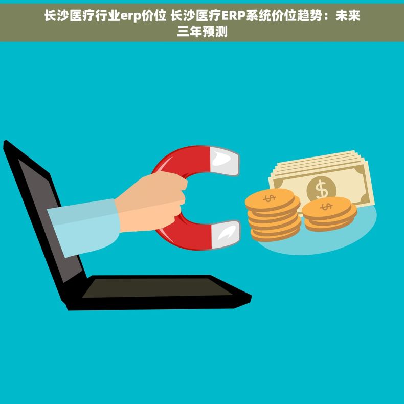 长沙医疗行业erp价位 长沙医疗ERP系统价位趋势：未来三年预测