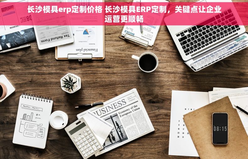 长沙模具erp定制价格 长沙模具ERP定制，关键点让企业运营更顺畅