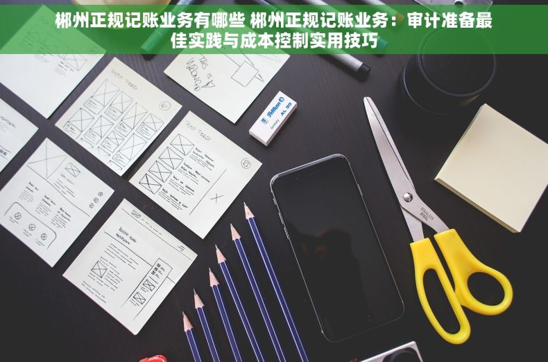 郴州正规记账业务有哪些 郴州正规记账业务：审计准备最佳实践与成本控制实用技巧
