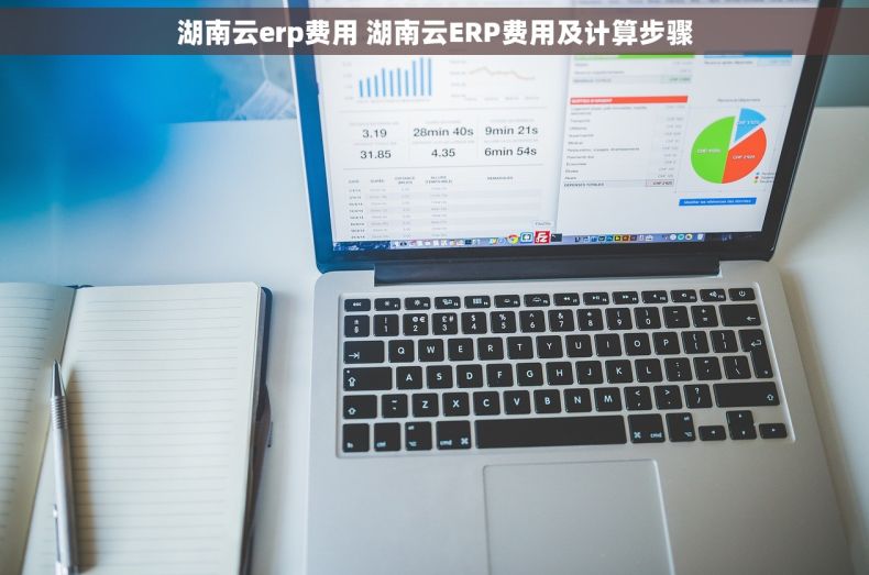 湖南云erp费用 湖南云ERP费用及计算步骤