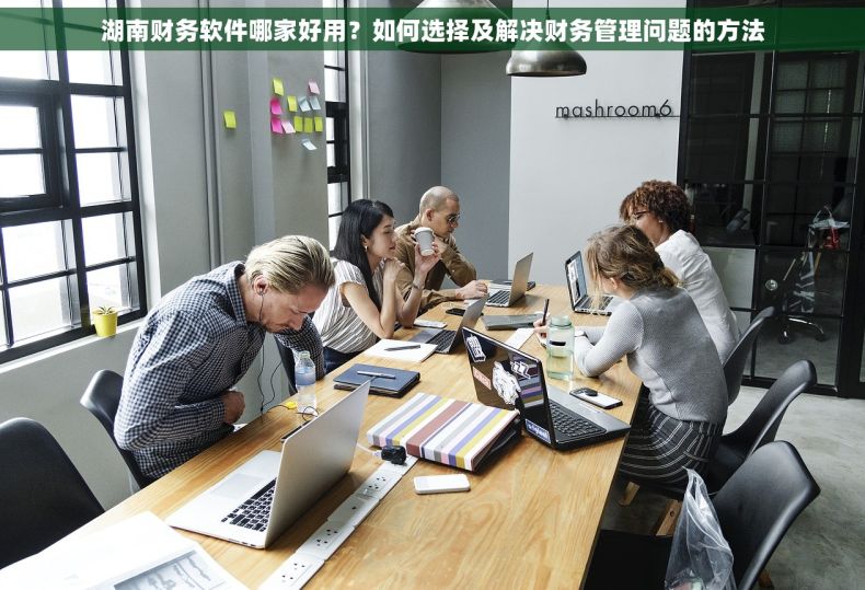 湖南财务软件哪家好用？如何选择及解决财务管理问题的方法