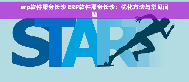 erp软件服务长沙 ERP软件服务长沙：优化方法与常见问题
