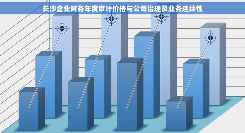 长沙企业财务年度审计价格与公司治理及业务连续性