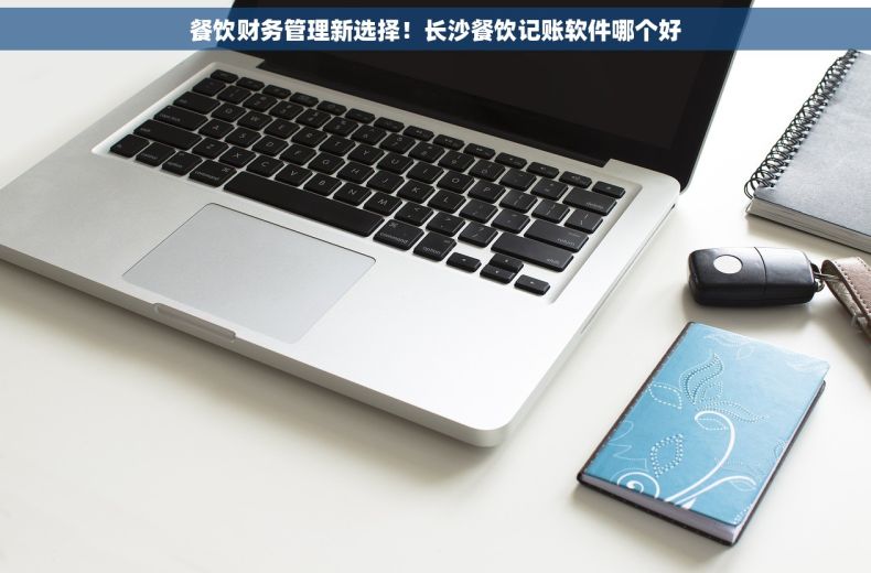 餐饮财务管理新选择！长沙餐饮记账软件哪个好