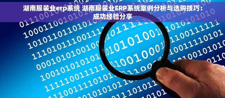 湖南服装业erp系统 湖南服装业ERP系统案例分析与选购技巧：成功经验分享
