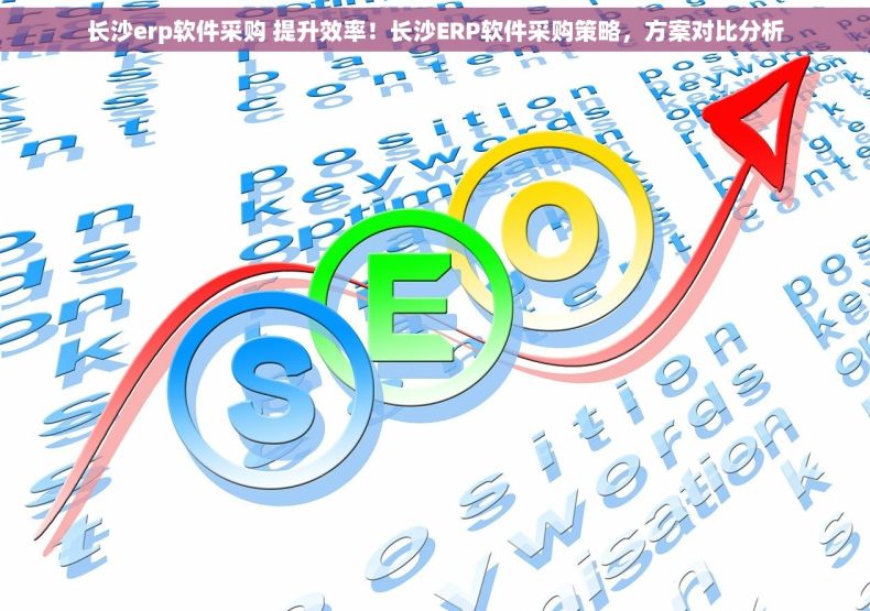 长沙erp软件采购 提升效率！长沙ERP软件采购策略，方案对比分析