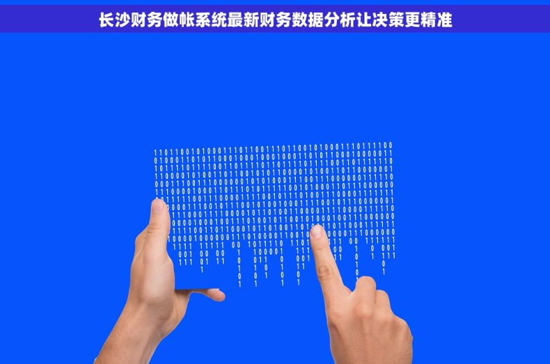 长沙财务做帐系统最新财务数据分析让决策更精准