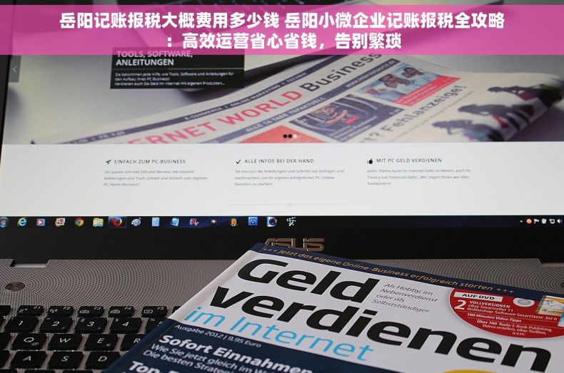 岳阳记账报税大概费用多少钱 岳阳小微企业记账报税全攻略：高效运营省心省钱，告别繁琐