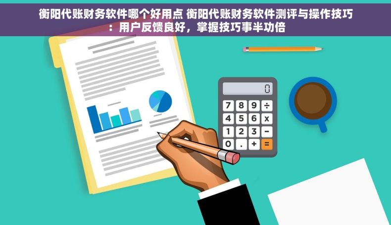 衡阳代账财务软件哪个好用点 衡阳代账财务软件测评与操作技巧：用户反馈良好，掌握技巧事半功倍