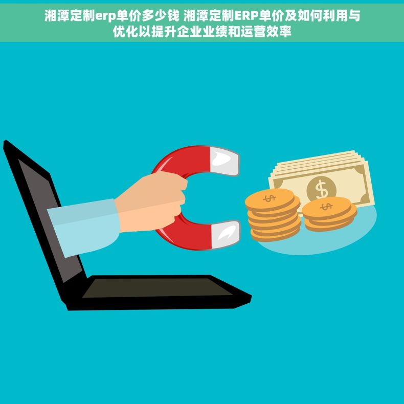 湘潭定制erp单价多少钱 湘潭定制ERP单价及如何利用与优化以提升企业业绩和运营效率