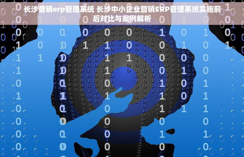 长沙营销erp管理系统 长沙中小企业营销ERP管理系统实施前后对比与案例解析