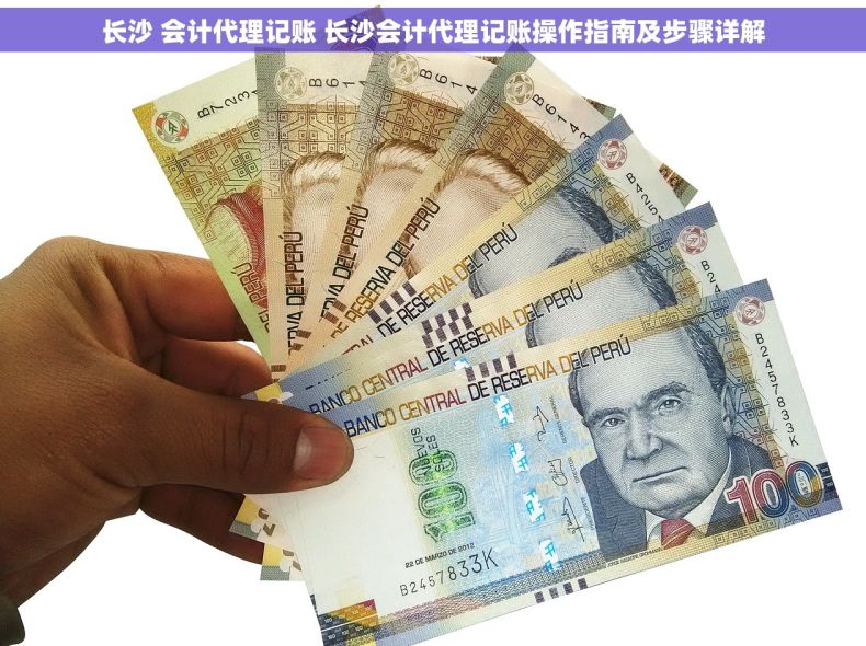 长沙 会计代理记账 长沙会计代理记账操作指南及步骤详解