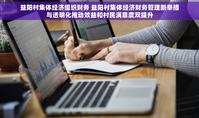 益阳村集体经济组织财务 益阳村集体经济财务管理新举措与透明化推动效益和村民满意度双提升