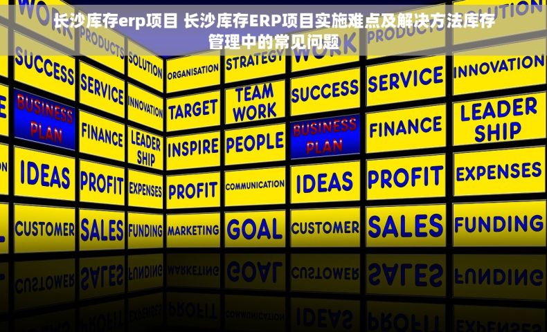 长沙库存erp项目 长沙库存ERP项目实施难点及解决方法库存管理中的常见问题